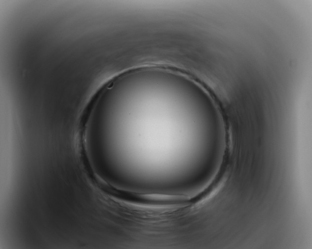 X0000094931501200712061118