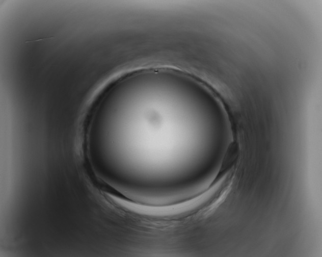 X0000094931502200712061118