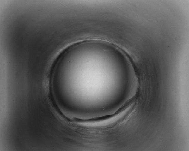 X0000094931503200712061118