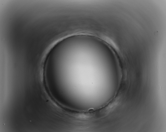 X0000094931504200712061118