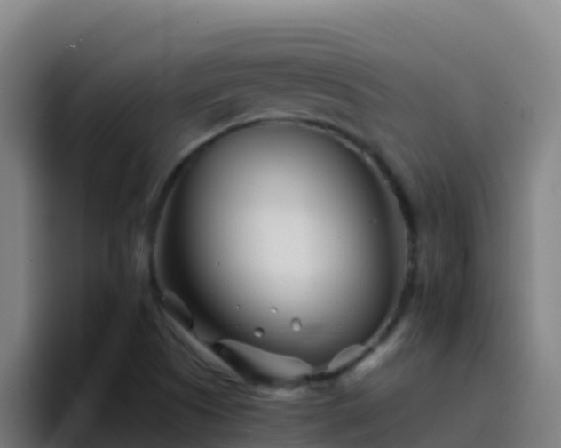 X0000094931505200712061118