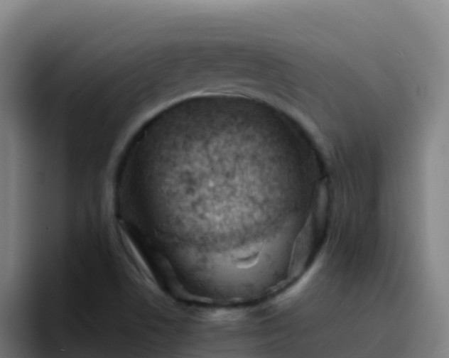 X0000094931506200712061118