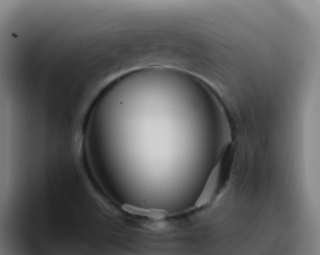 X0000094931507200712061118