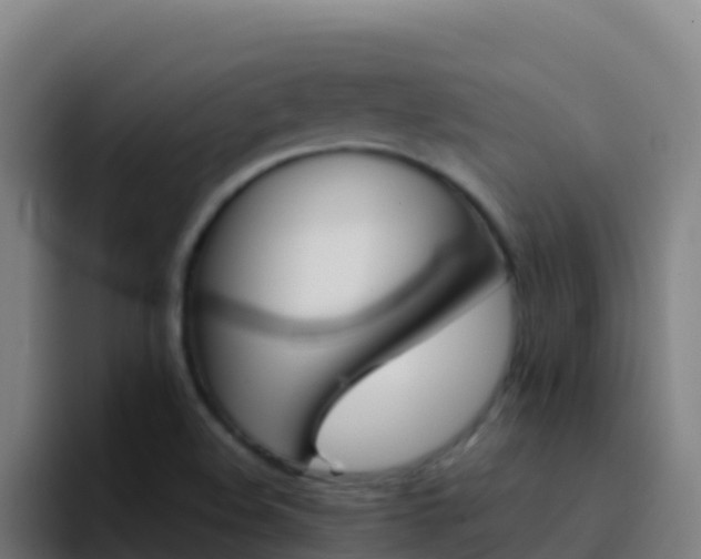 X0000094931508200712061118