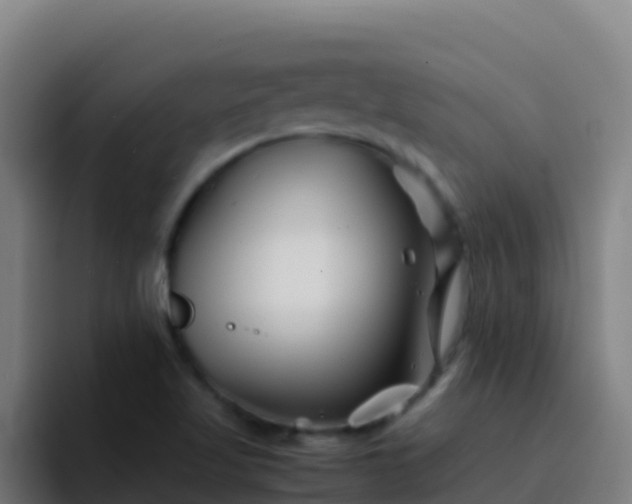 X0000094931509200712061118