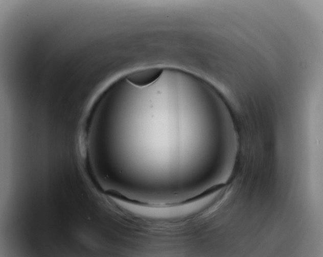 X0000094931510200712061118