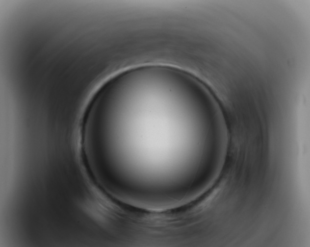X0000094931511200712061118