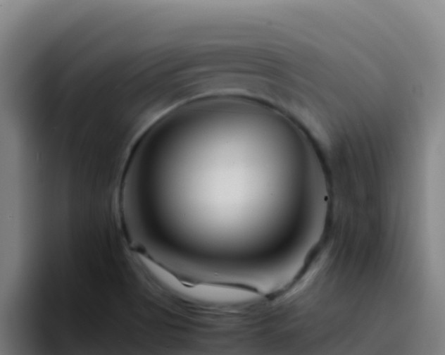 X0000094931513200712061118