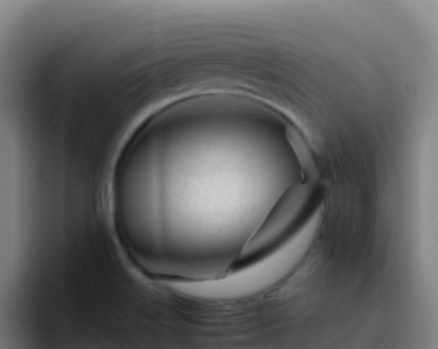 X0000094931515200712061119