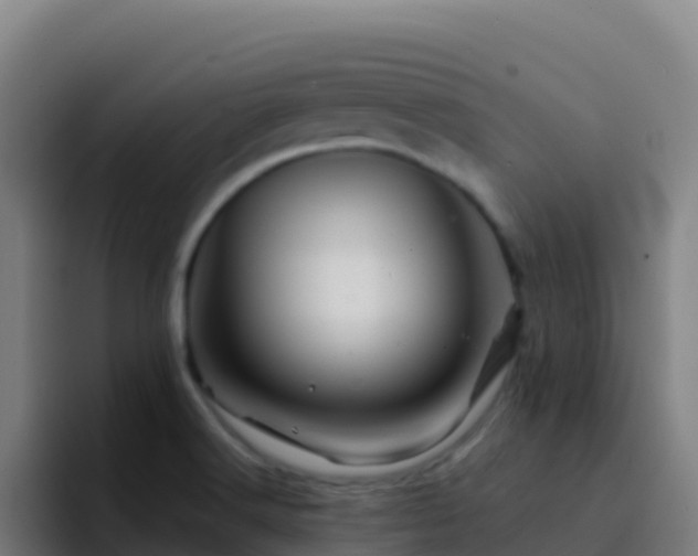 X0000094931516200712061119