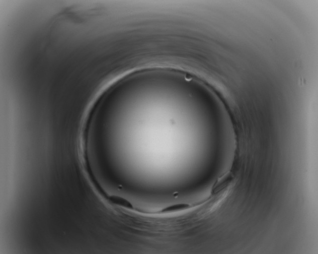 X0000094931517200712061119