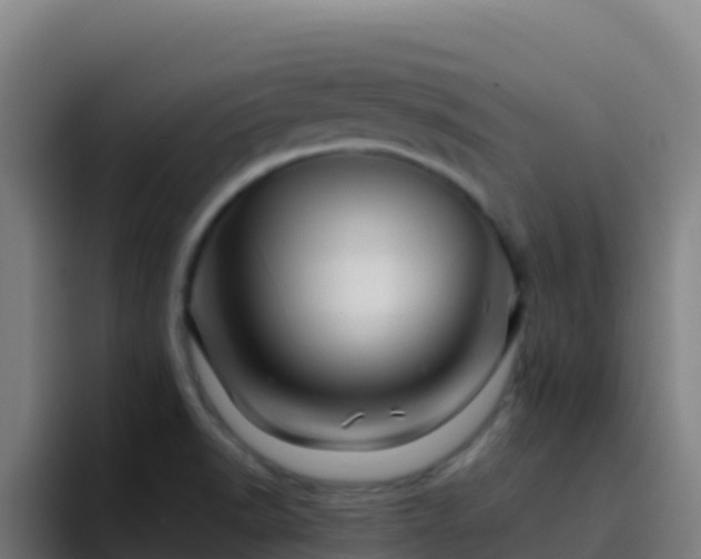 X0000094931518200712061119