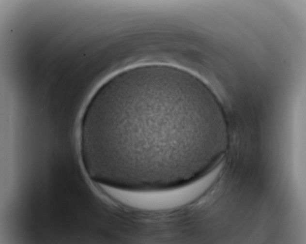 X0000094931519200712061119