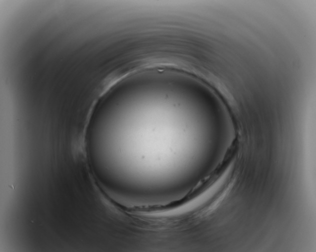 X0000094931521200712061119