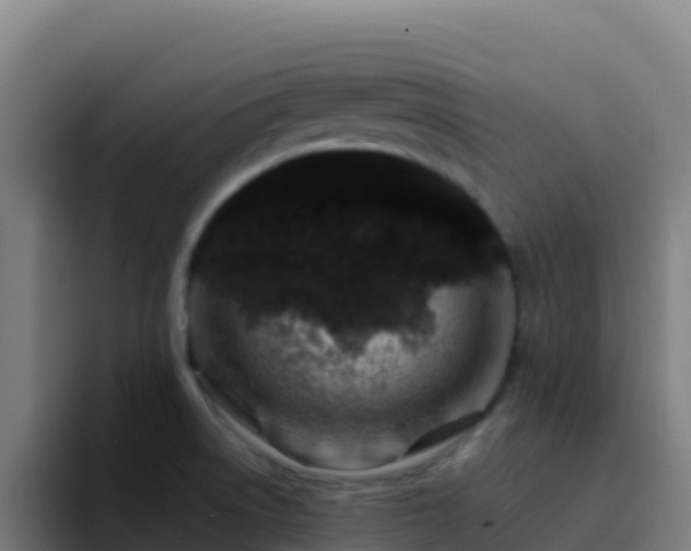 X0000094931522200712061119
