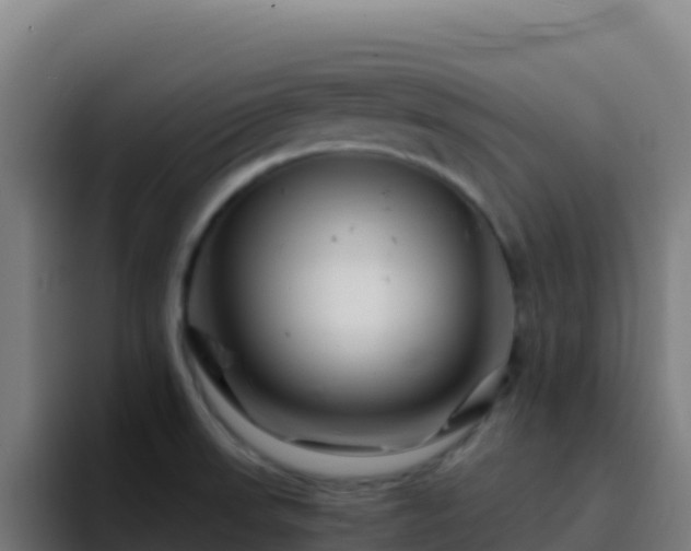 X0000094931523200712061119
