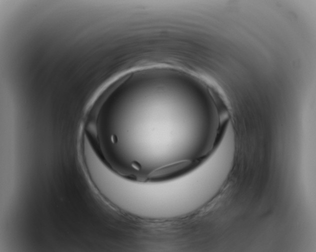 X0000094931524200712061119