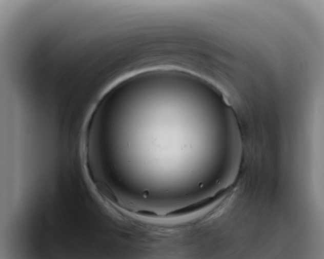 X0000094931526200712061119
