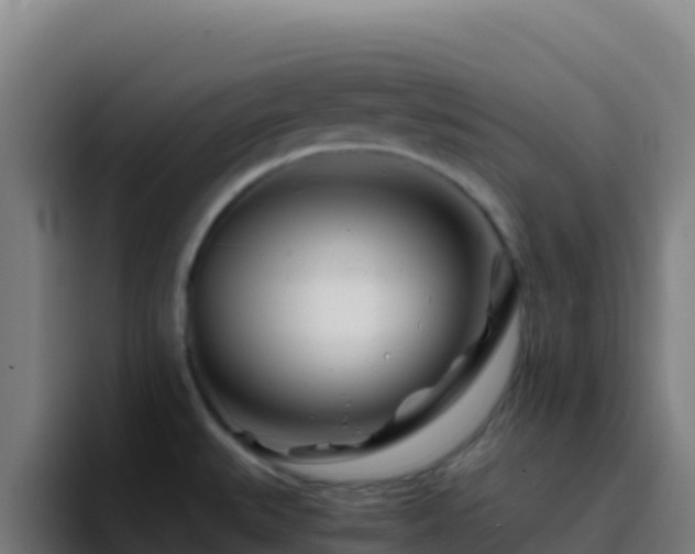 X0000094931527200712061119