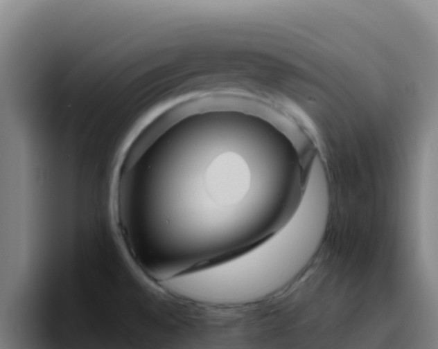 X0000094931528200712061119