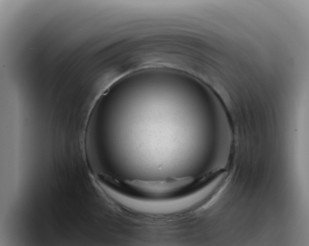 X0000094931529200712061119