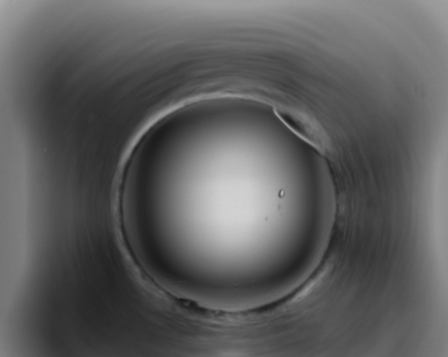 X0000094931530200712061119