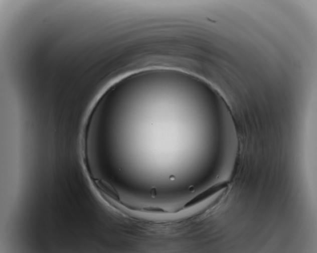 X0000094931531200712061119