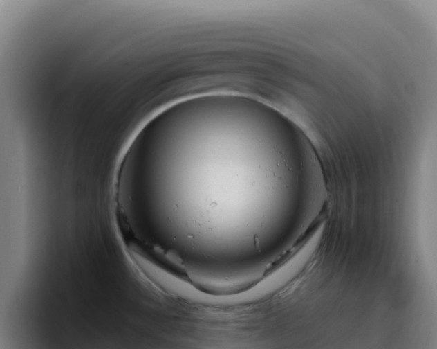 X0000094931532200712061119
