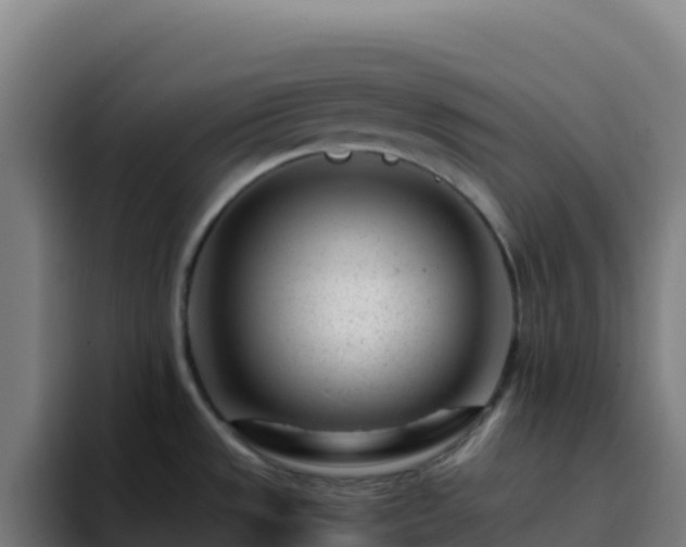 X0000094931533200712061119