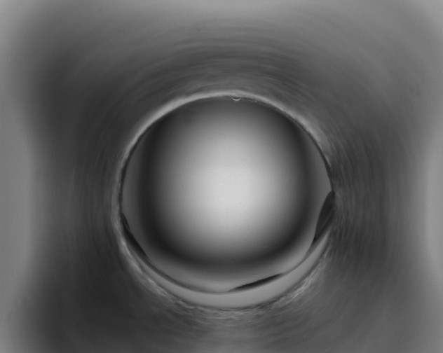 X0000094931534200712061119