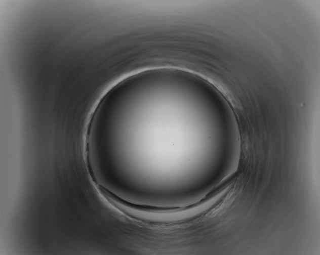 X0000094931535200712061119