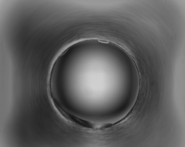 X0000094931536200712061119