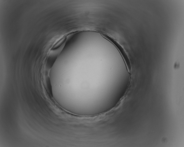 X0000094930001200712131548