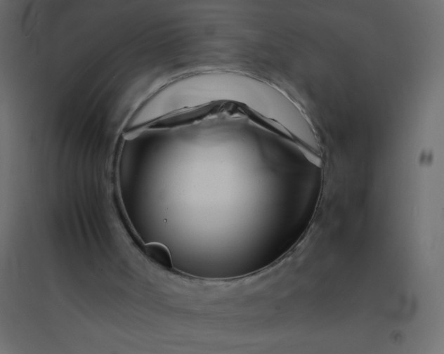X0000094930002200712131548
