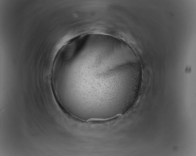 X0000094930003200712131548