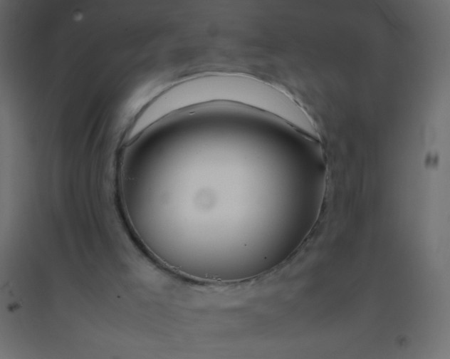 X0000094930005200712131548