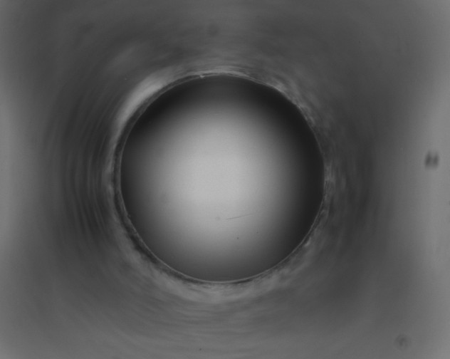 X0000094930006200712131548