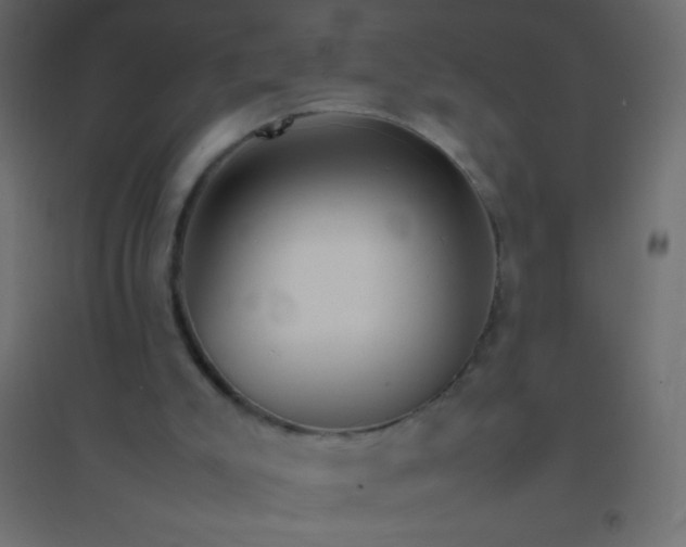 X0000094930007200712131548
