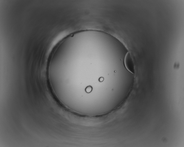 X0000094930008200712131548