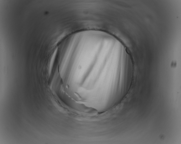 X0000094930009200712131548