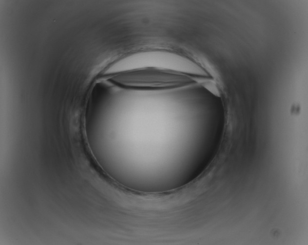 X0000094930010200712131548