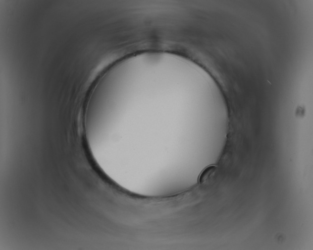 X0000094930011200712131548