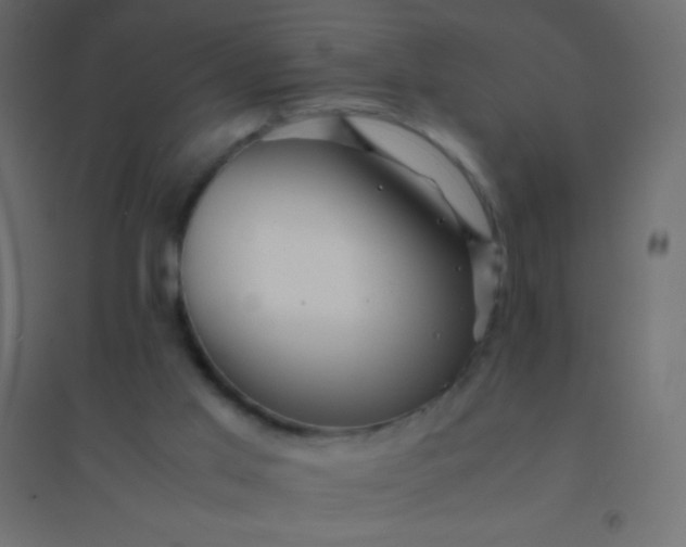 X0000094930013200712131548