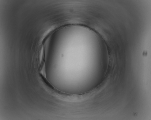 X0000094930015200712131548