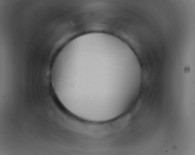 X0000094930016200712131548