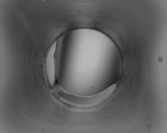 X0000094930017200712131548