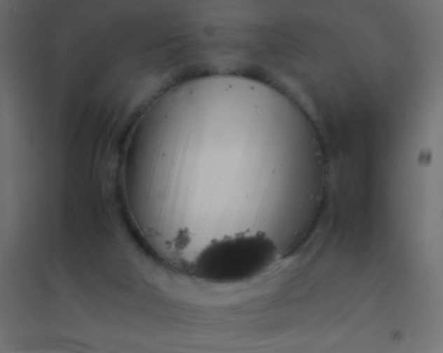 X0000094930018200712131548