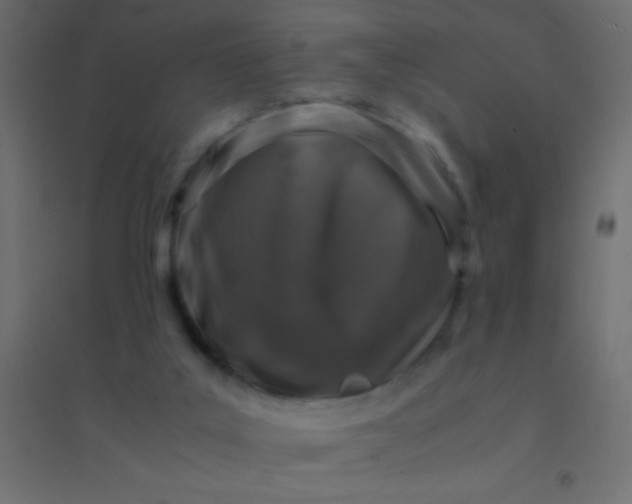 X0000094930019200712131548
