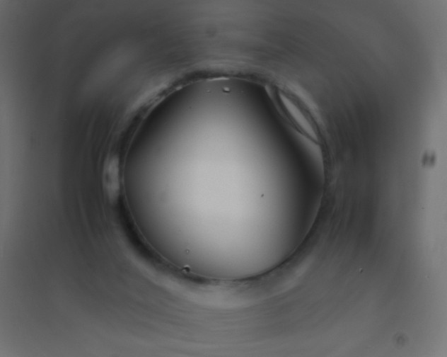 X0000094930020200712131548