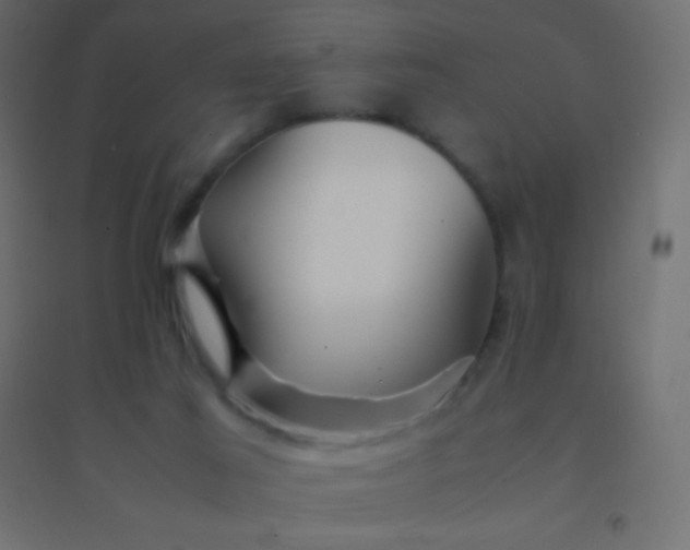 X0000094930021200712131548